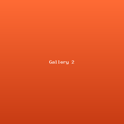 Event Gallery 2