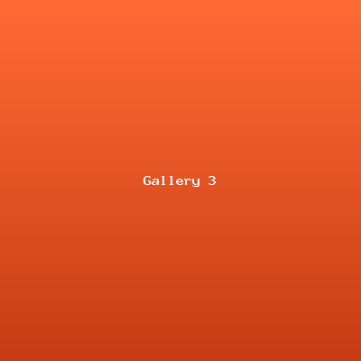 Event Gallery 3