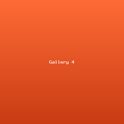 Event Gallery 4