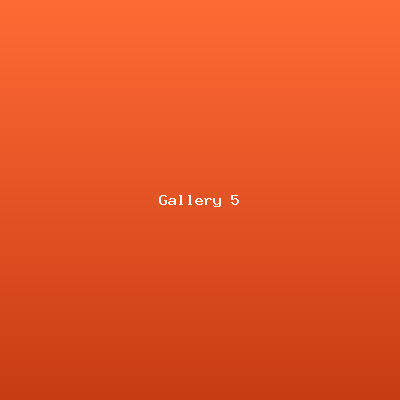 Event Gallery 5