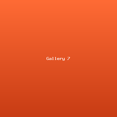 Event Gallery 7