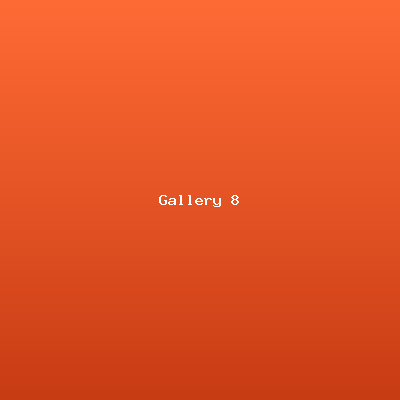 Event Gallery 8